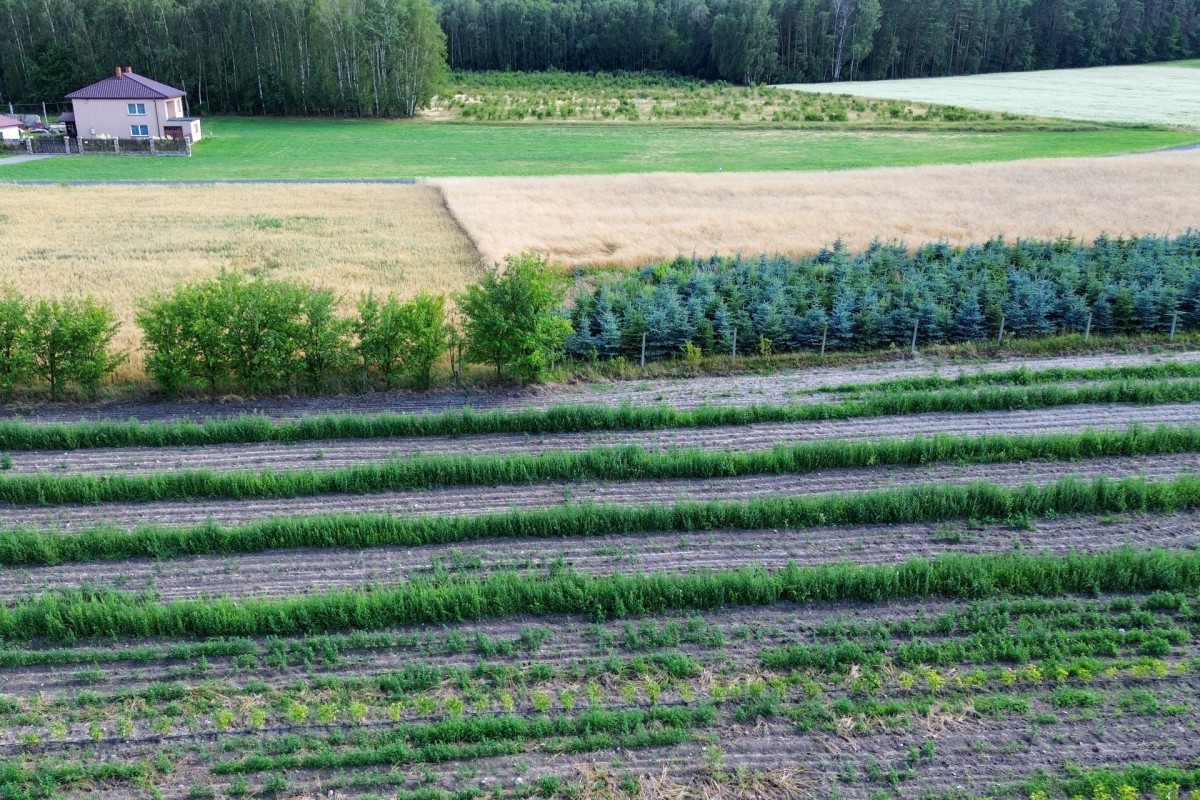 Działka budowlana 1123m2 Mszczonów