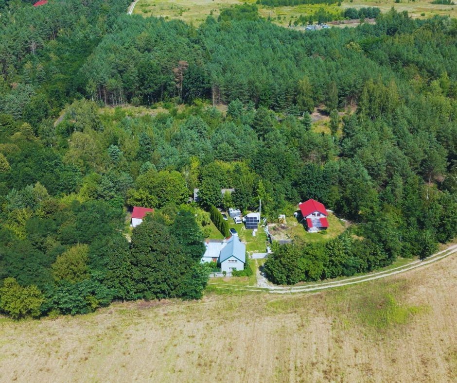 Działka budowlano-inwestycyjna 2,5 ha I SUNTAGO