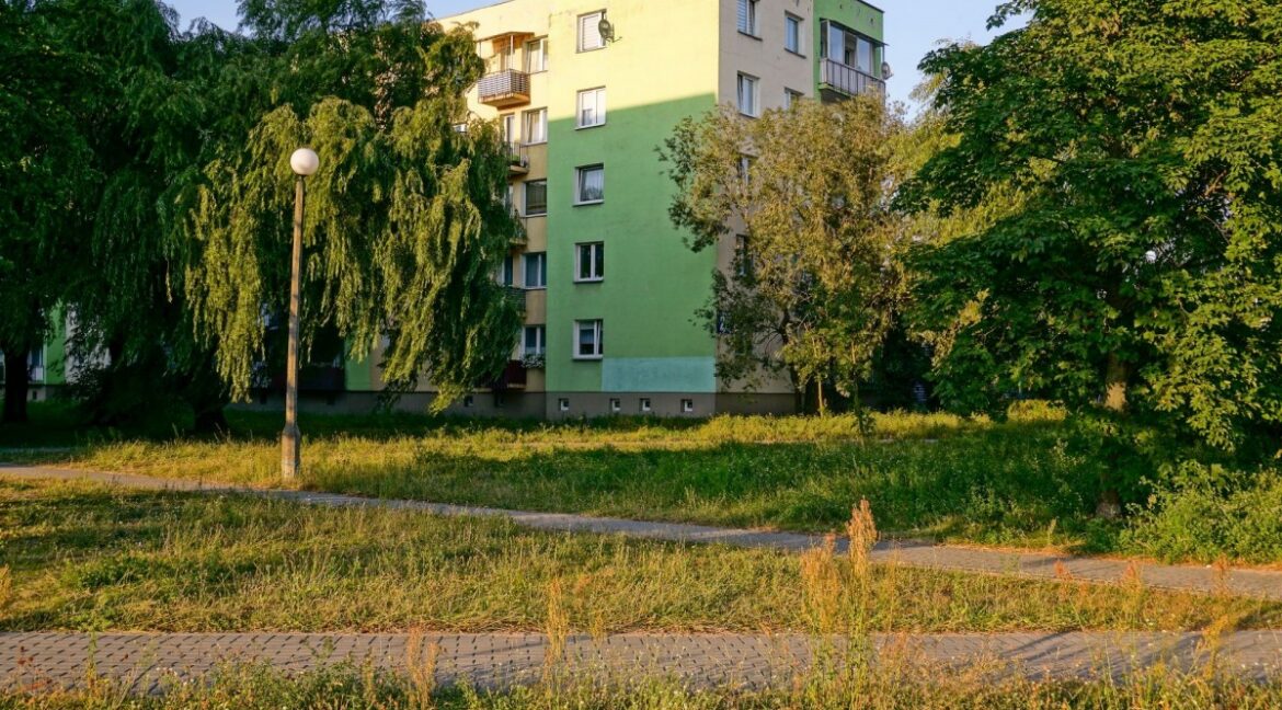 24137520