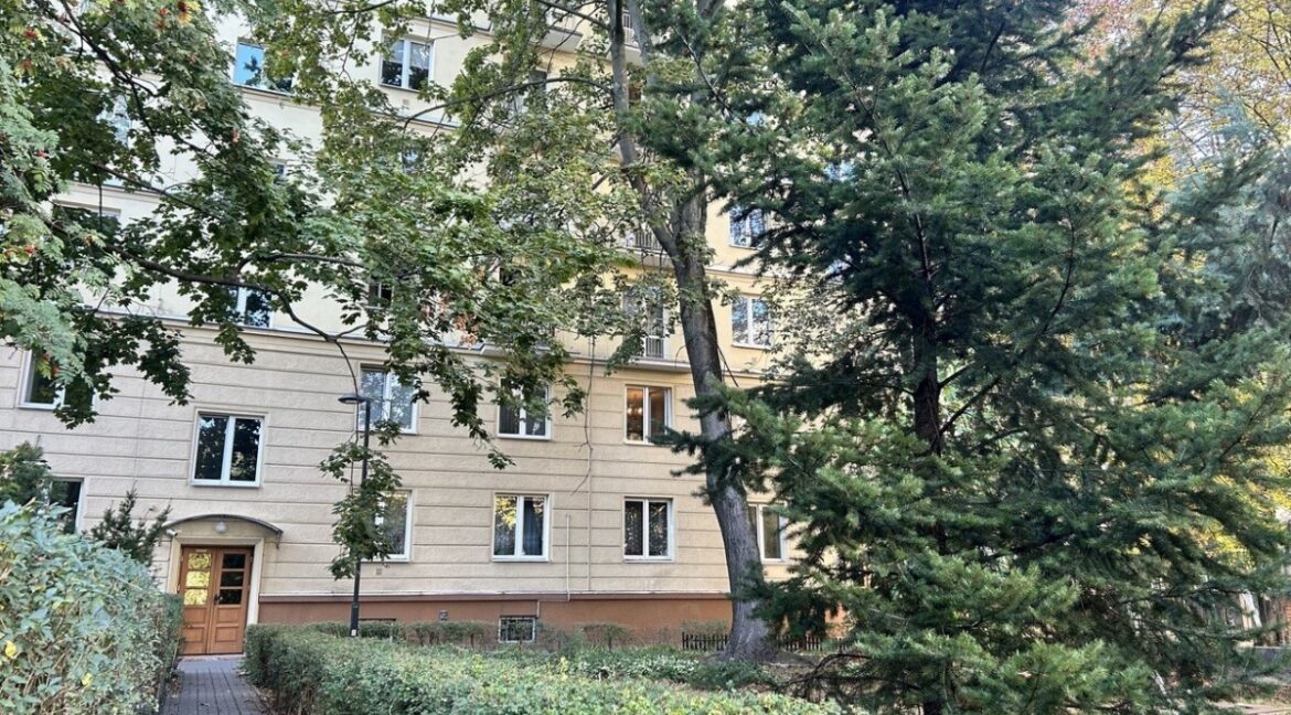 24165131