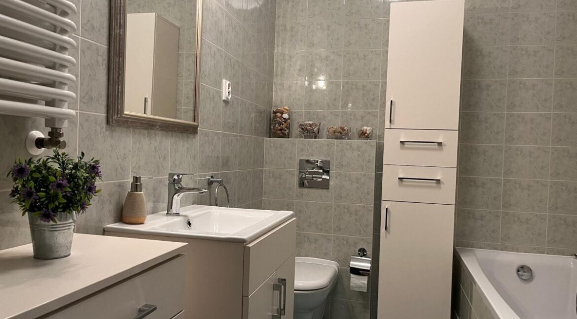 24165292