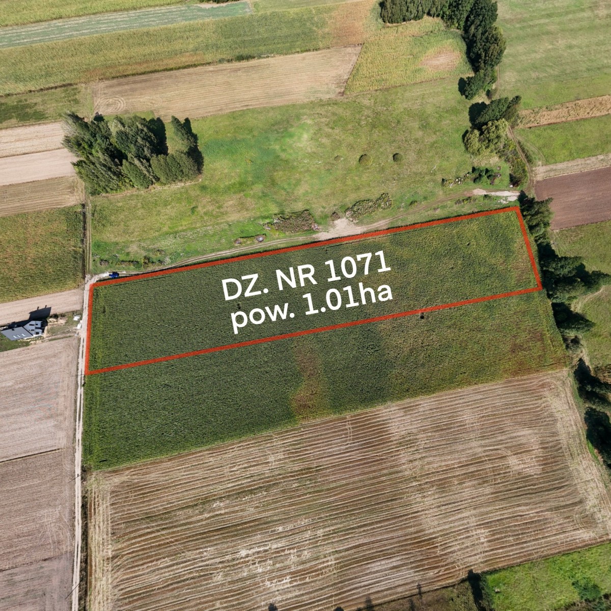 Działka siedliskowo-rolna 1ha – Rębków k/Garwolina
