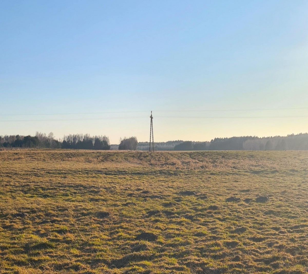 Dębowce  – Na sprzedaż