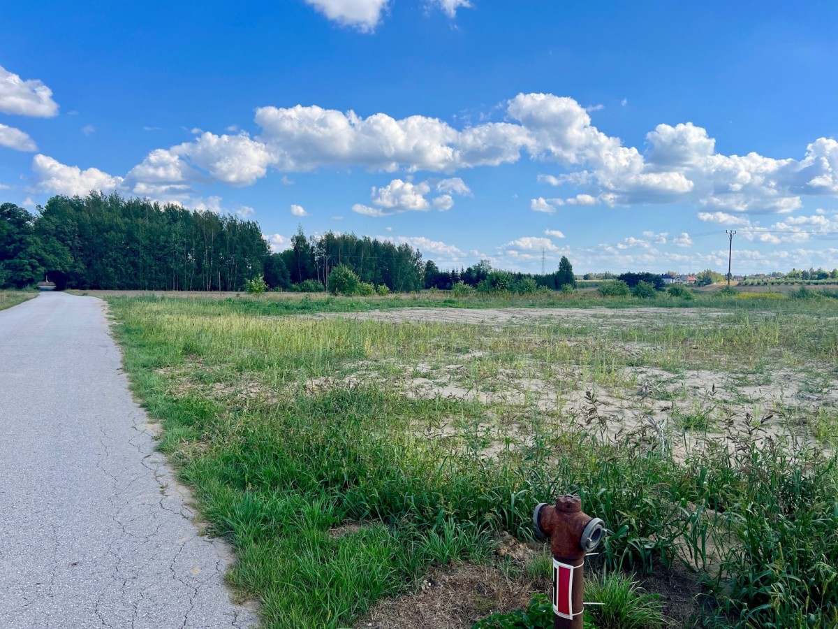 KOTORYDZ cicha, blisko węzła S7 0% PROWIZJI