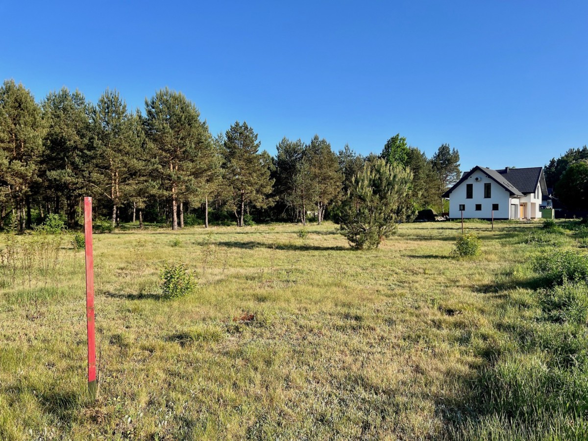 OSOWIEC utwardzona droga dojazdowa. bez zalesienia