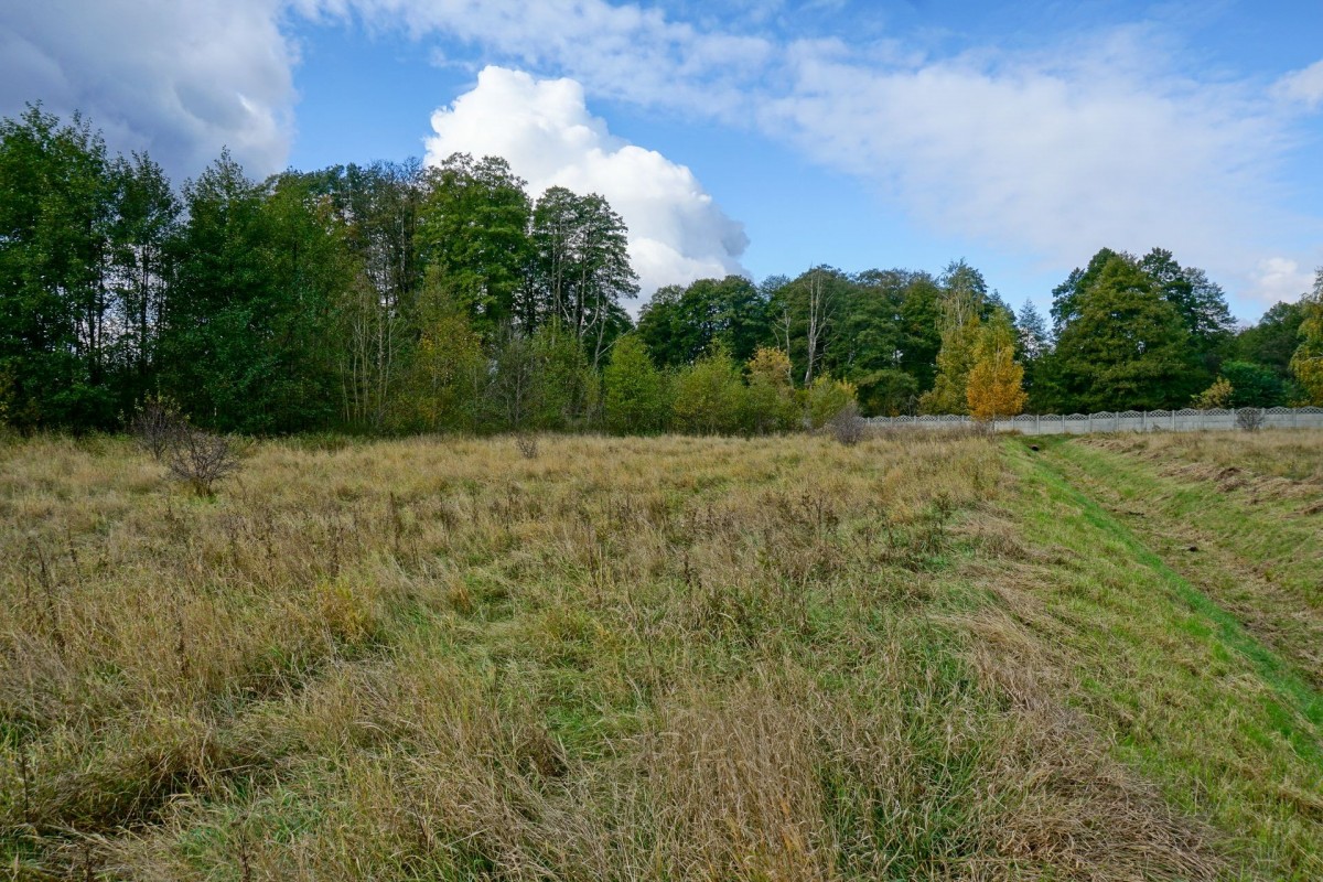 Działka budowlana 1501m2, Henryszew, gm. Jaktorów
