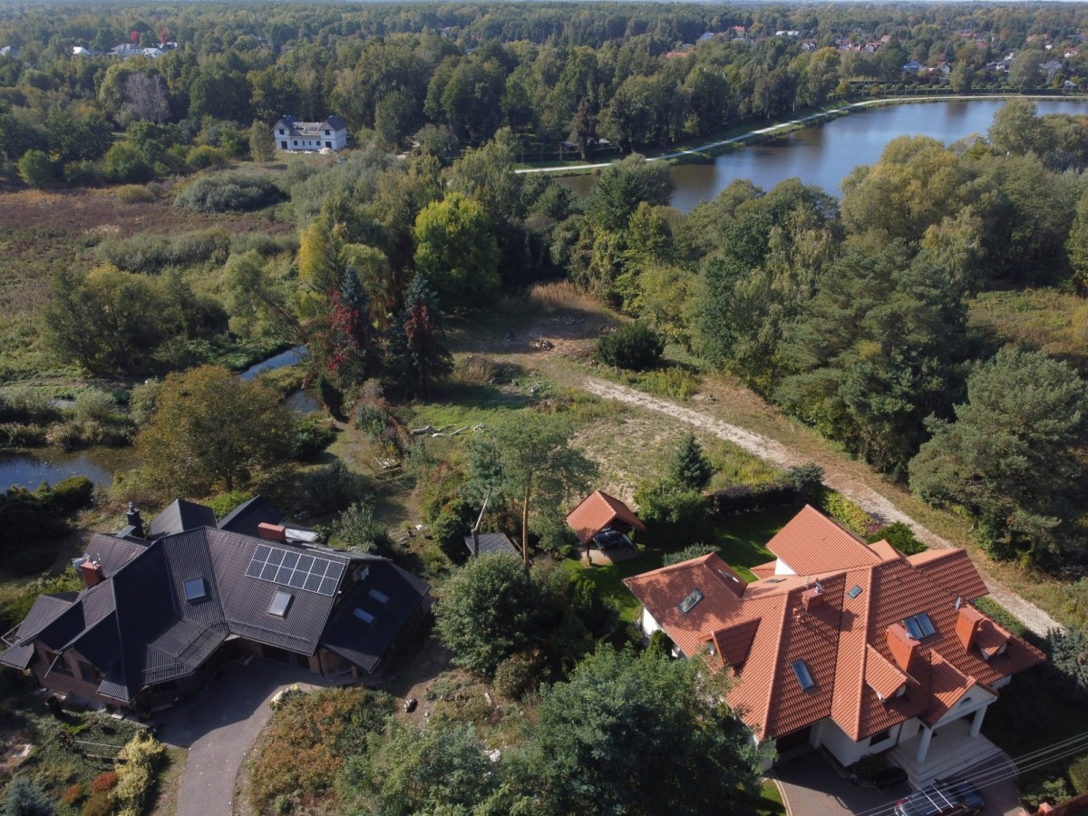 Linia Brzegowa / Starodrzew / Willowa Okolica