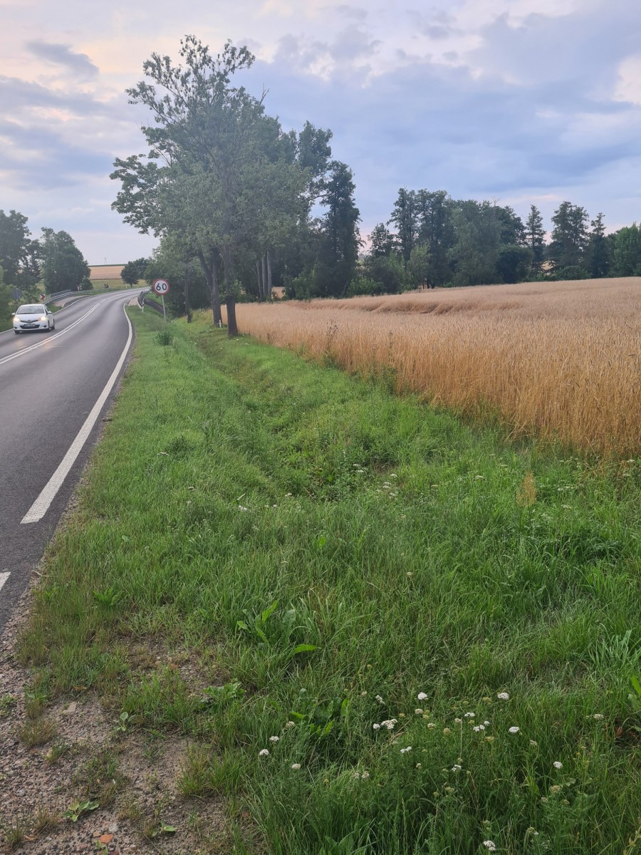 Działka rolna  Kleszewo 1,1ha, warunki