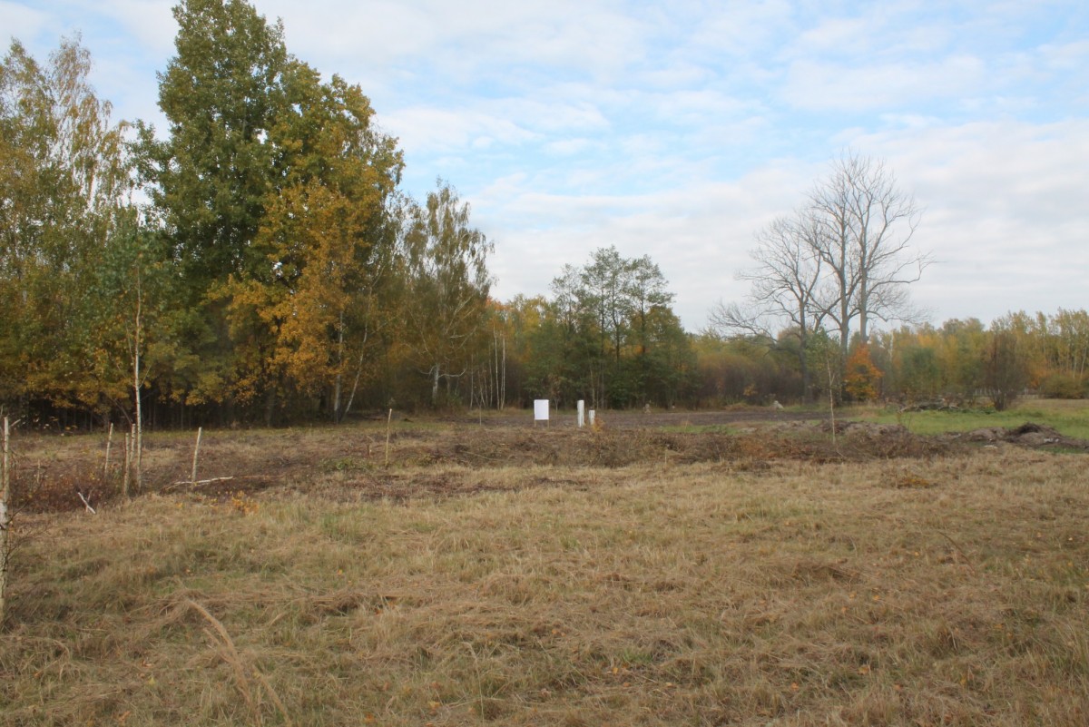 Działka budowlana w Zazdrości, gmina Radziejowice