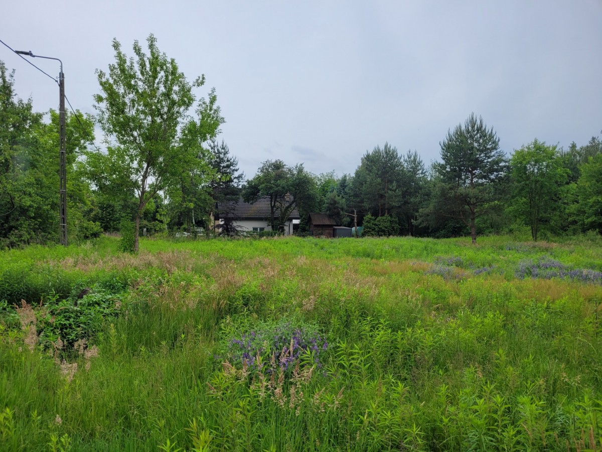 Wiązowna  – Na sprzedaż