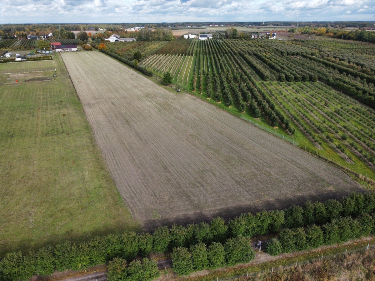 Malownicza okolica / Działka 7 363 m2 / Żyła wodna