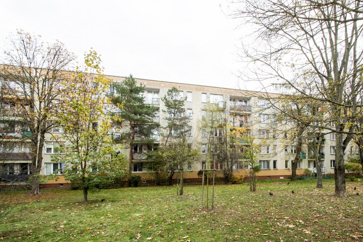 TAK dla ZWIERZĄT, 3 oddzielne pok, widna kuchnia