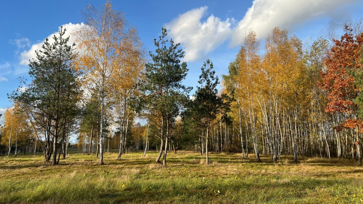 Działka budowlana z MPZP