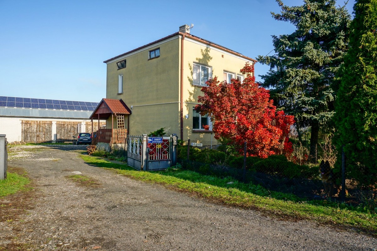 Siedlisko k. Makowa Mazowieckiego