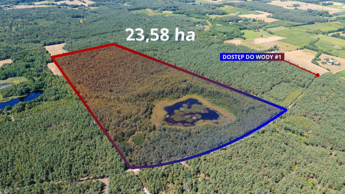 Piękna działka z lasem i oczkiem wodnym
