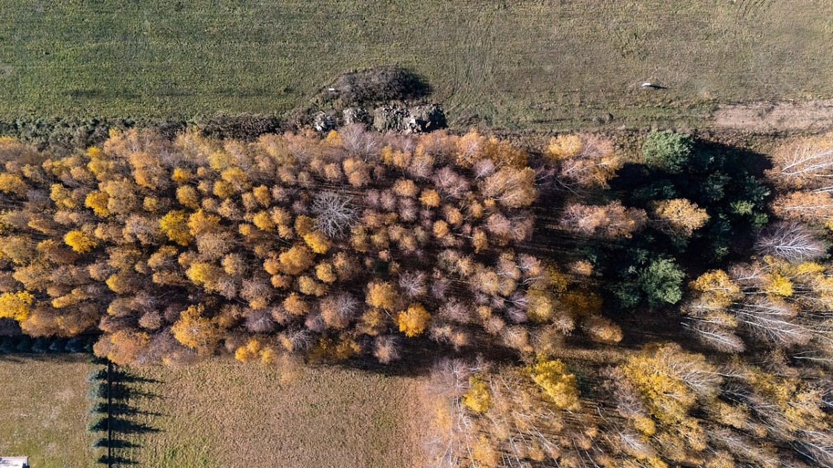 Działka budowlana w Kaleń Towarzystwo
