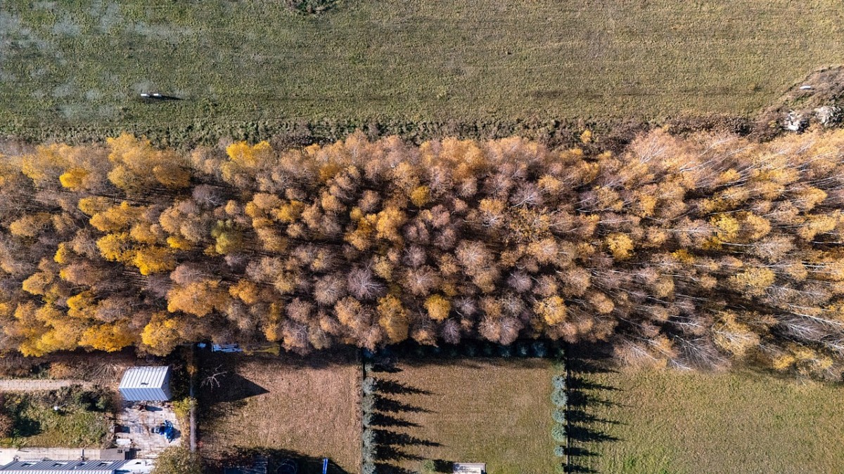 Do sprzedania działka budowlana w Kaleń Towarzystw