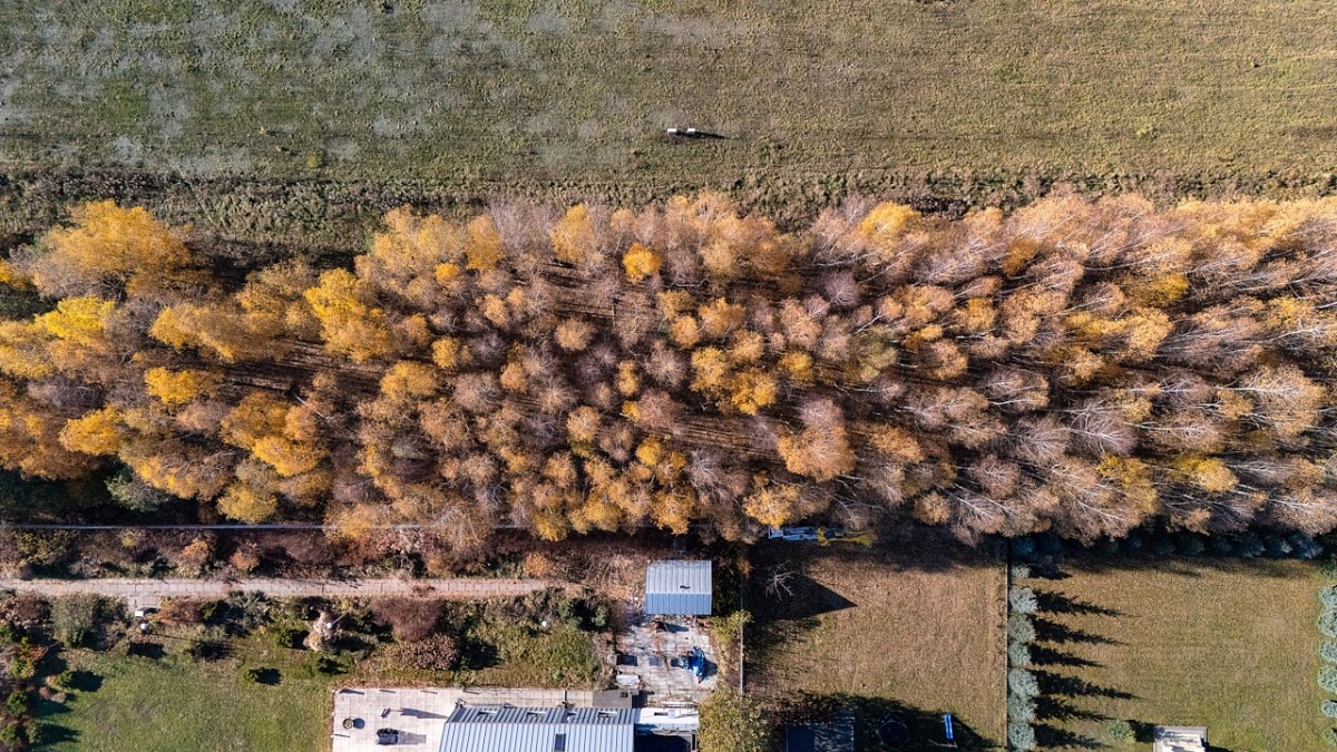Działka budowlana w Kaleń Towarzystwo