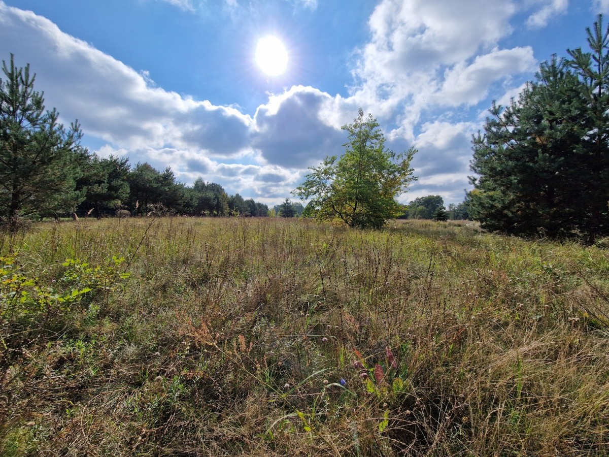 Atrakcyjna działka w dobrej cenie