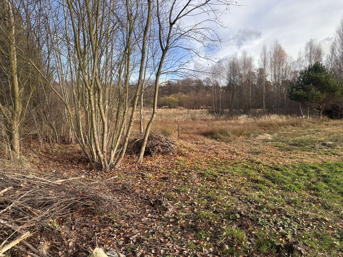 Działka Arciechów, Jezioro Zegrzyńskie