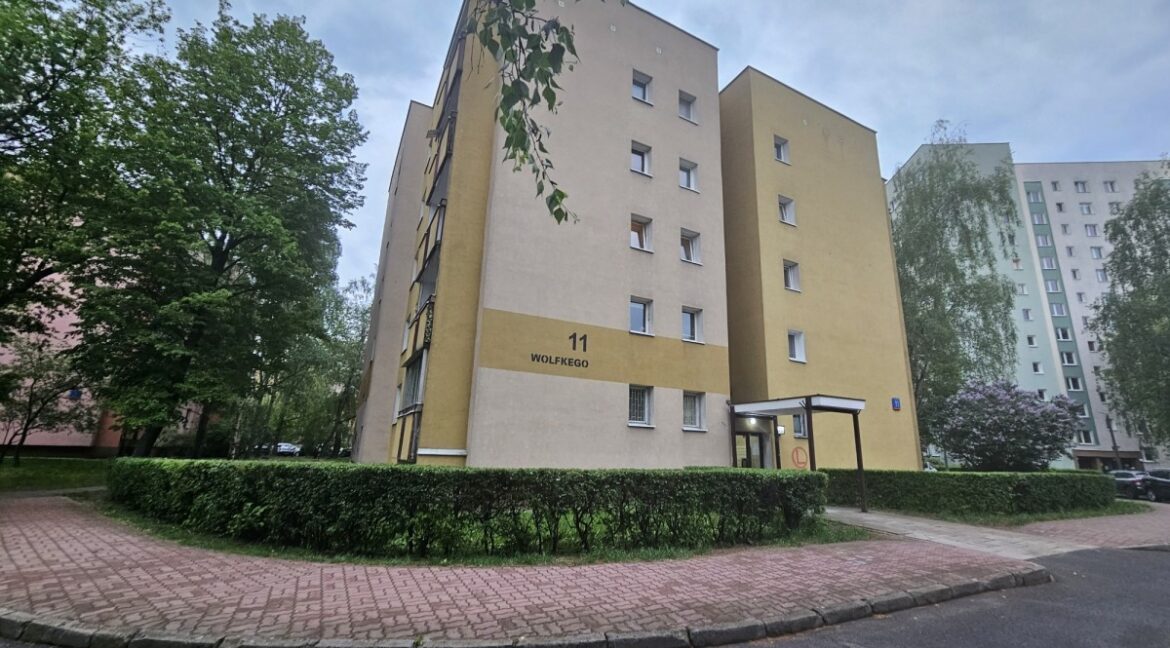 25448009