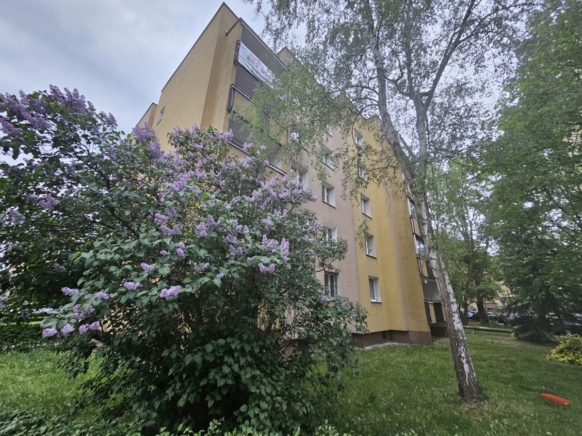 3 pokoje w zieleni | loggia | Bemowo | 68,9 m²