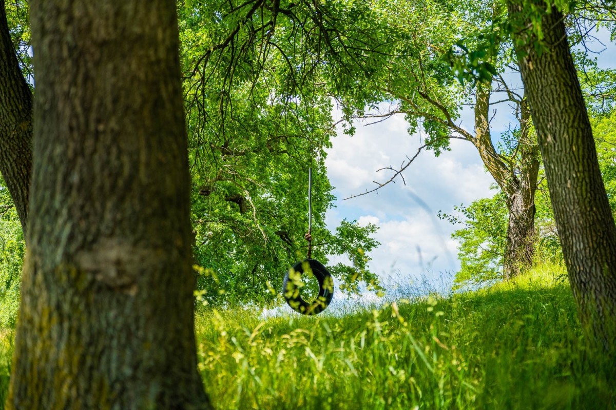 Działka letniskowa Młynarze,  Bug i Fiszor