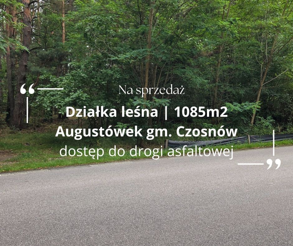 Las 1084m2 / Augustówek gm. Czosnów