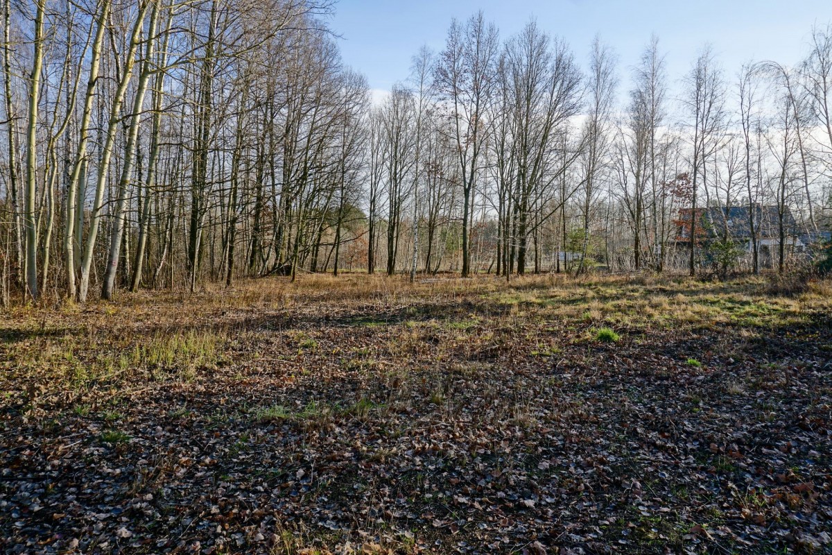 Działka budowlana 1018m2, Grądy k. Żyrardowa