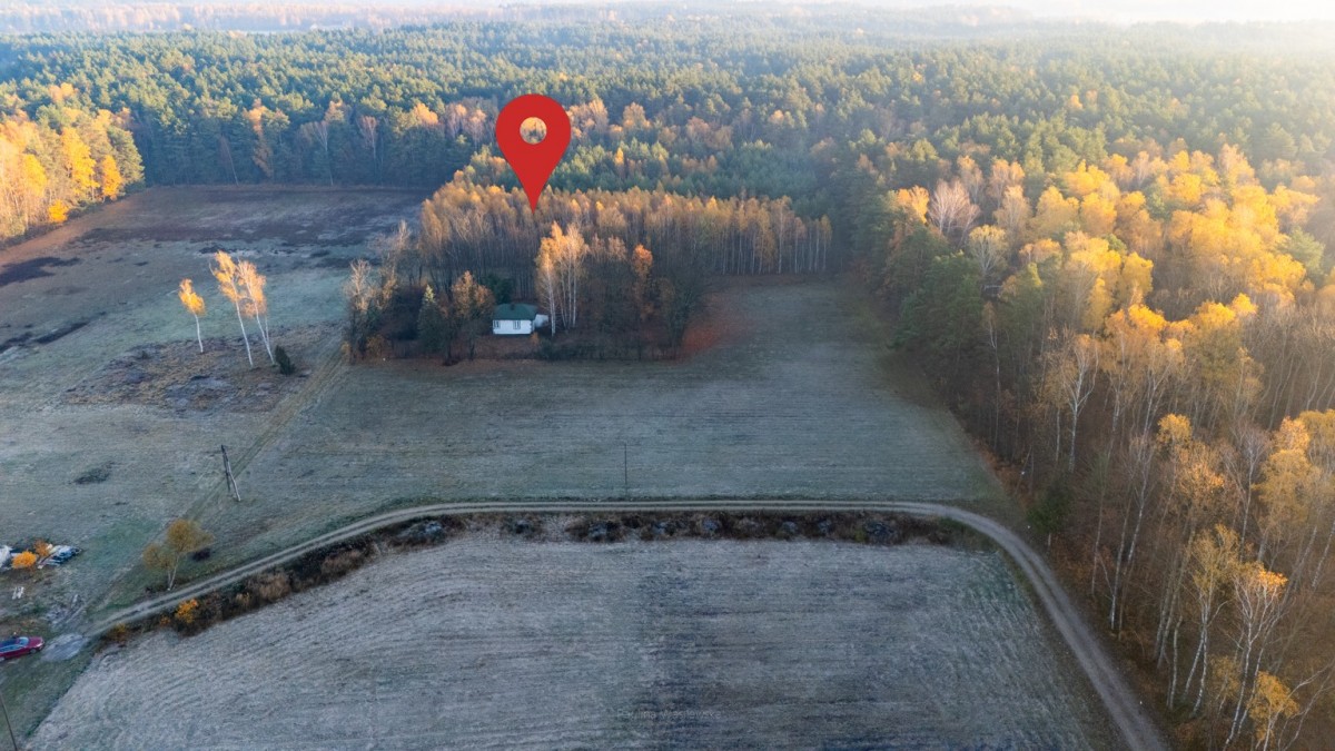 4 hektary wolności pod Warszawą, Ostrowik