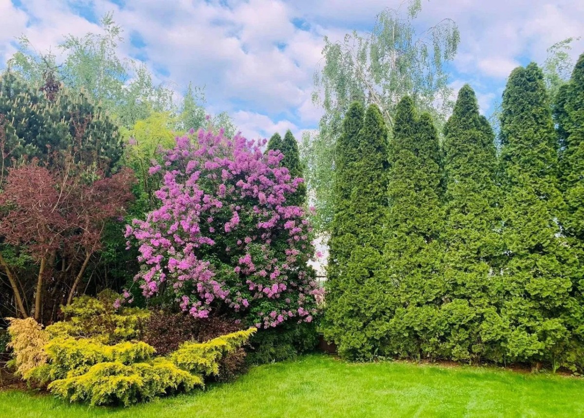 CENTRUM DOBRA LOKALIZACJA