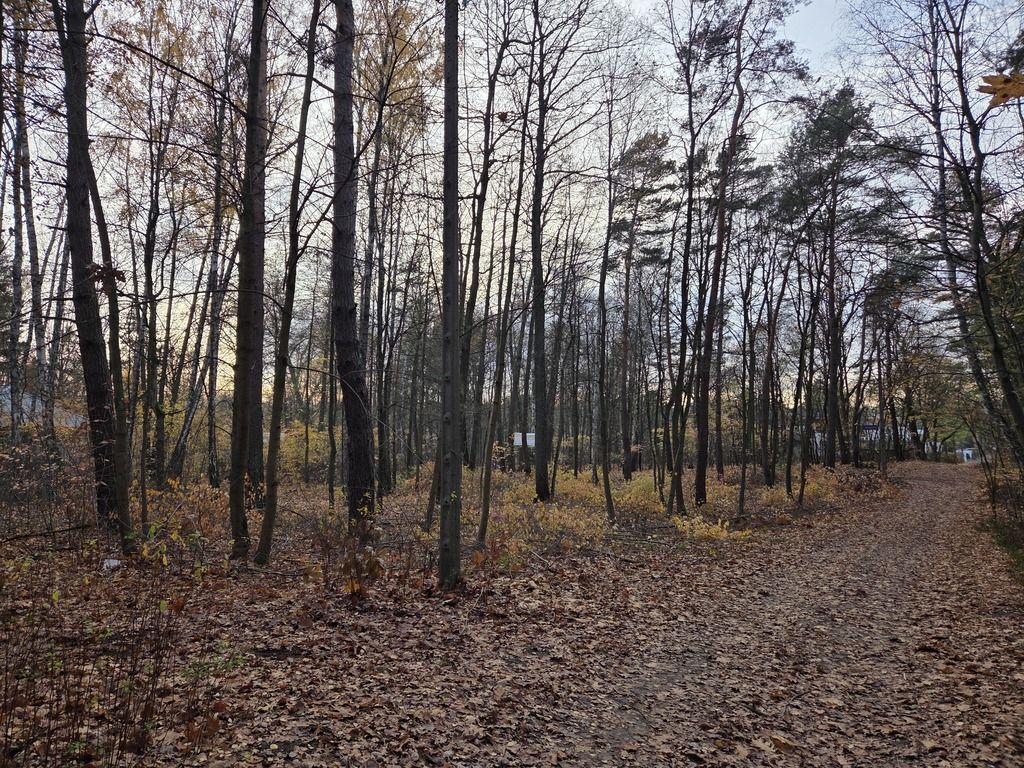 działka 3053 m w Radości