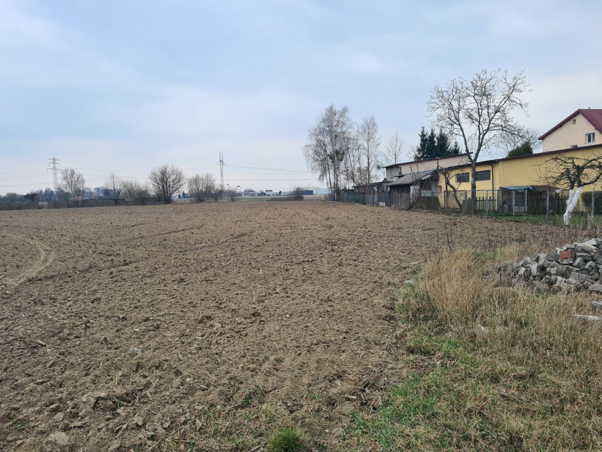 Działka w Babicach Nowych  7 361m2