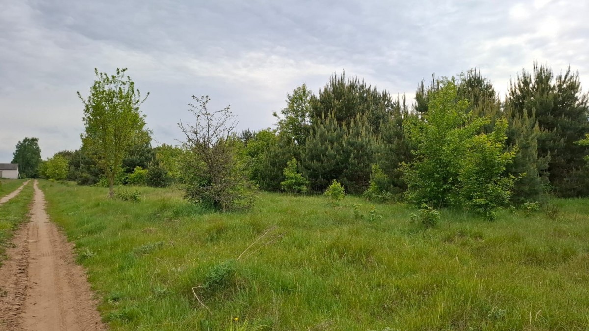 Budowlana, 10 km od Siedlec, media w drodze