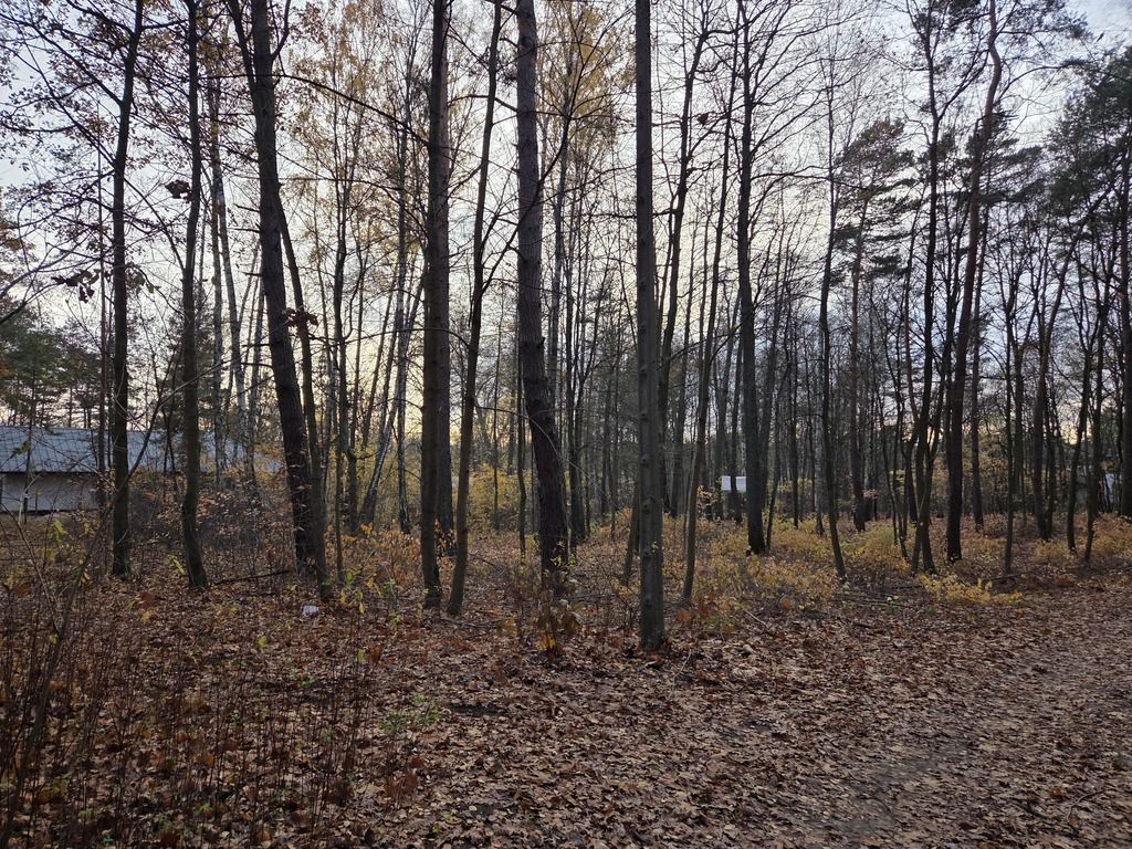 działka 3053 m w Radości