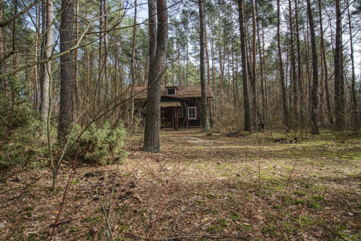 Działka w otoczeniu lasu | 1900 m²/MPZP | Łosie