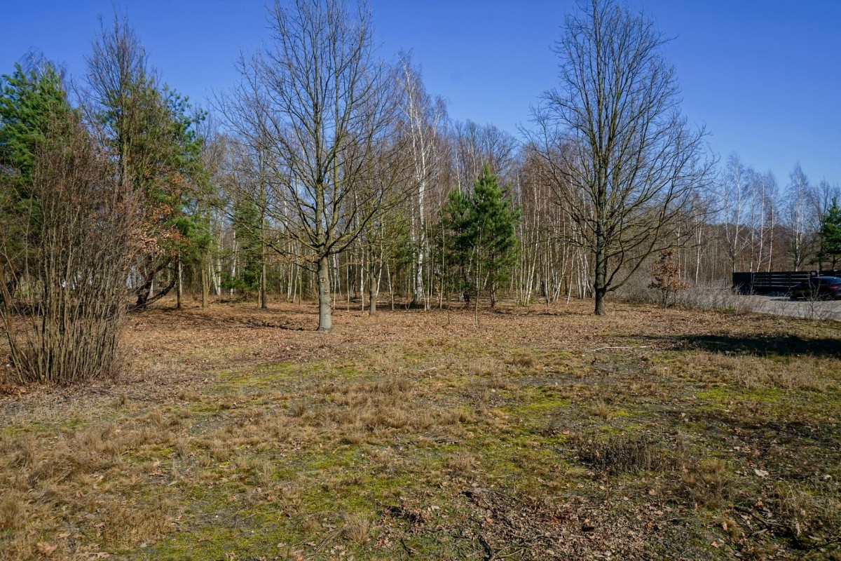 Działka budowlana 1004m2, Grądy k. Żyrardowa
