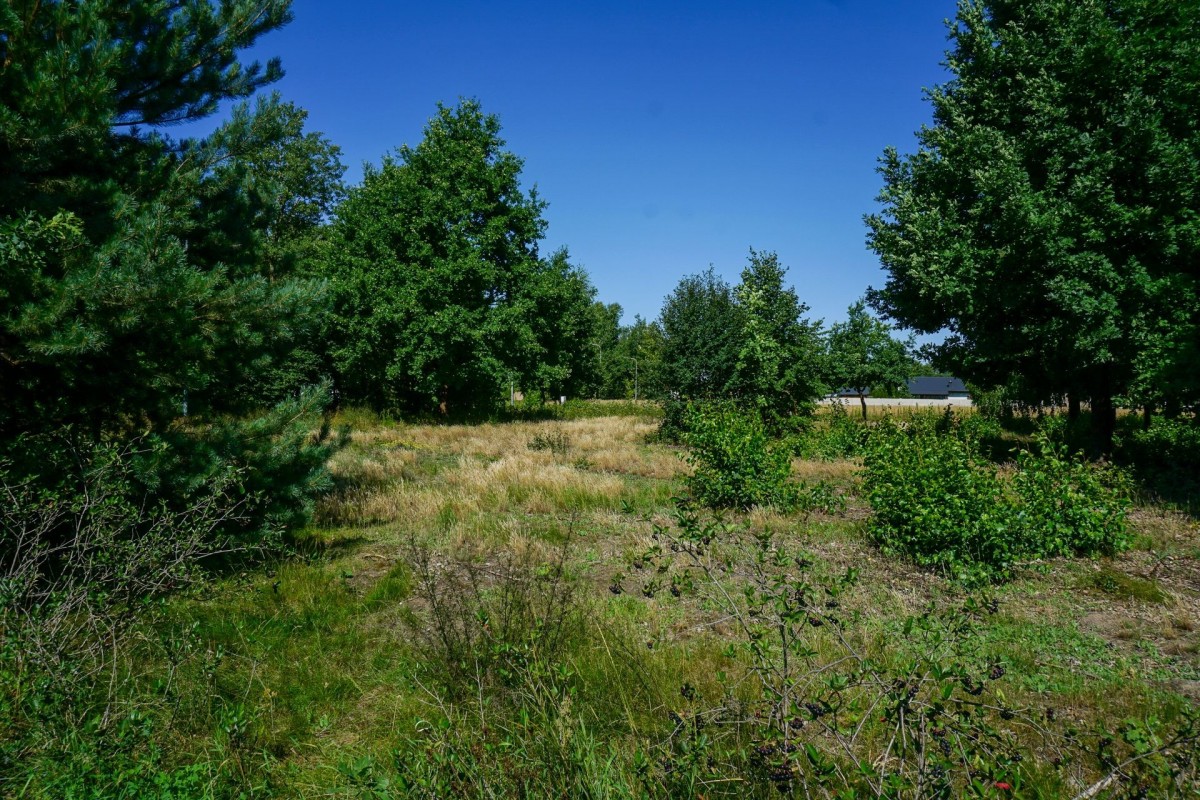 Działka budowlana 1096m2, Grądy k. Żyrardowa