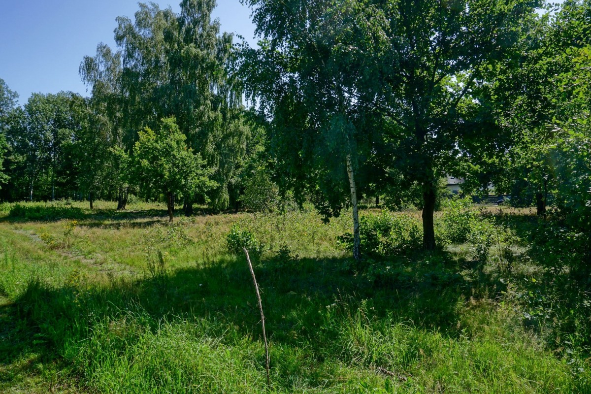 Działka budowlana 1019m2, Grądy k. Żyrardowa