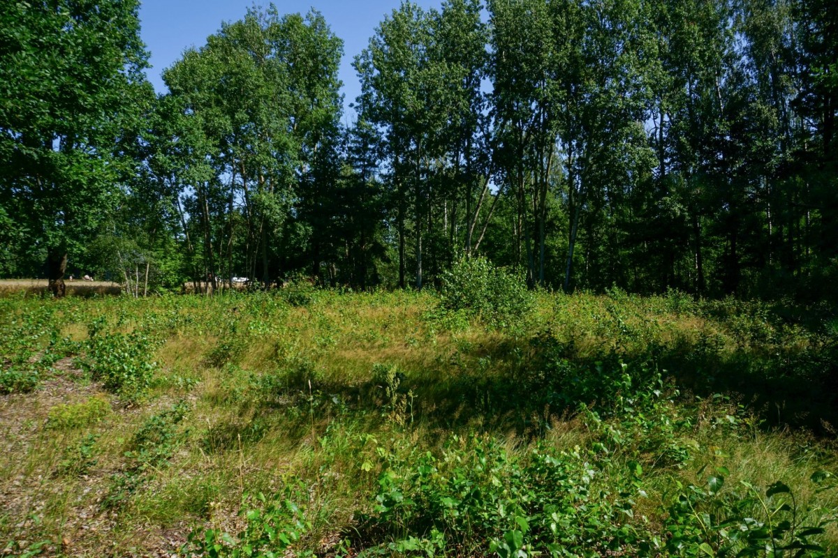 Działka budowlana 1002m2, Grądy k. Żyrardowa