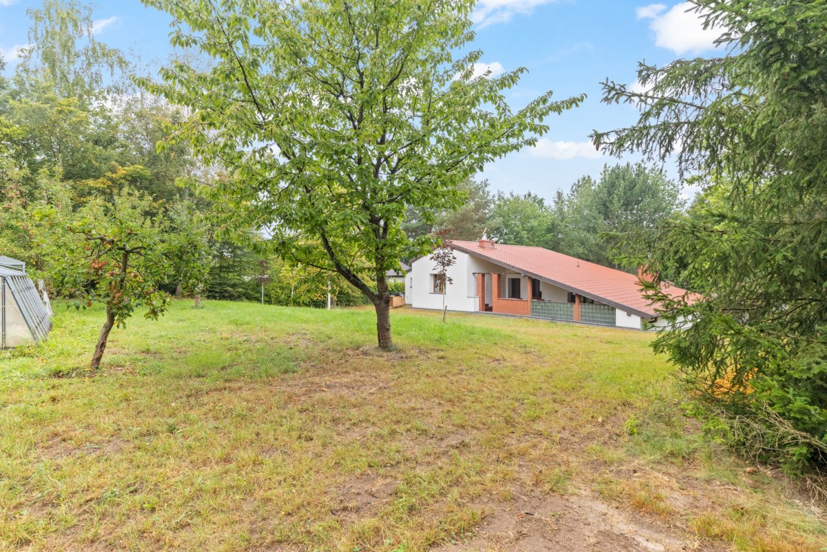 Dom z możliwością kupienia budynku pod działalność