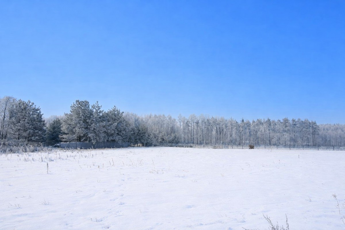 Działka 6 800 m² z MPZP | Jeżewice k. Tarczyna