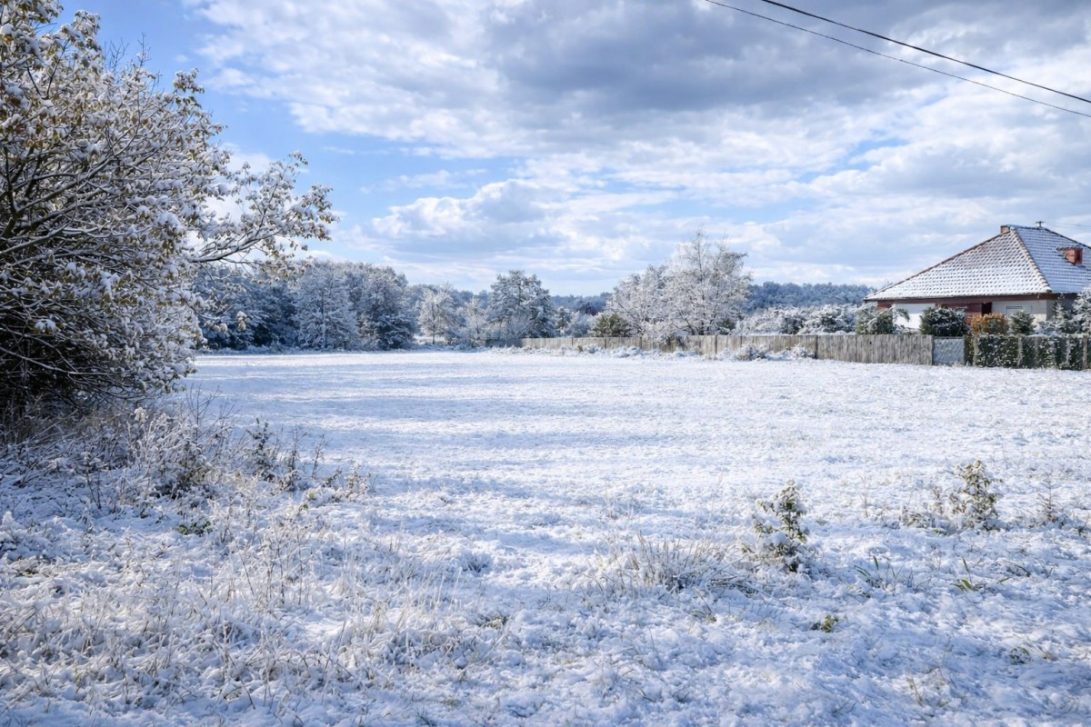 Działka 3149m2, Łaziska, gm. Słubice