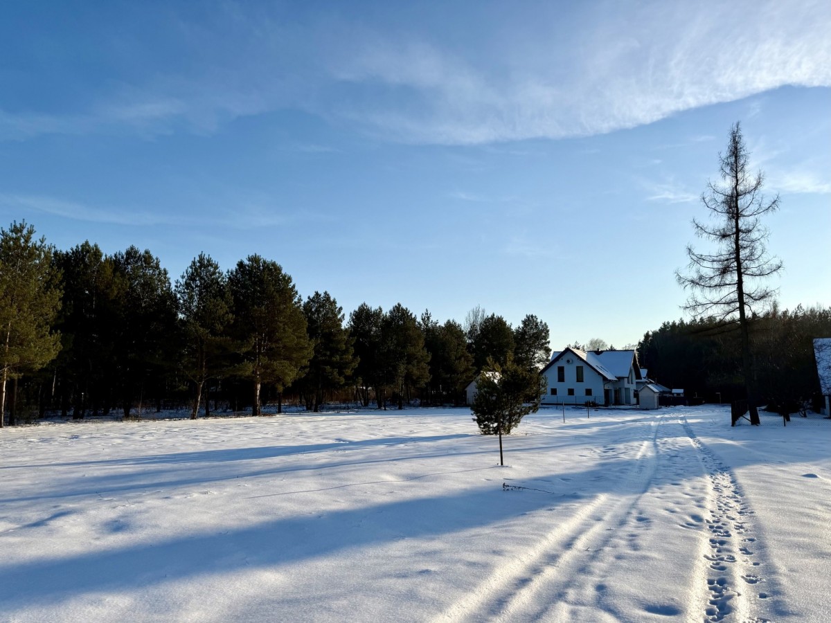 OSOWIEC utwardzona droga dojazdowa, bez zalesienia