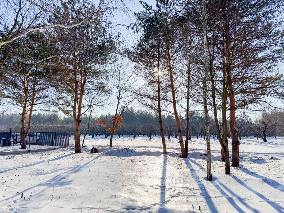 Działka budowlana z pozwoleniem na budowę