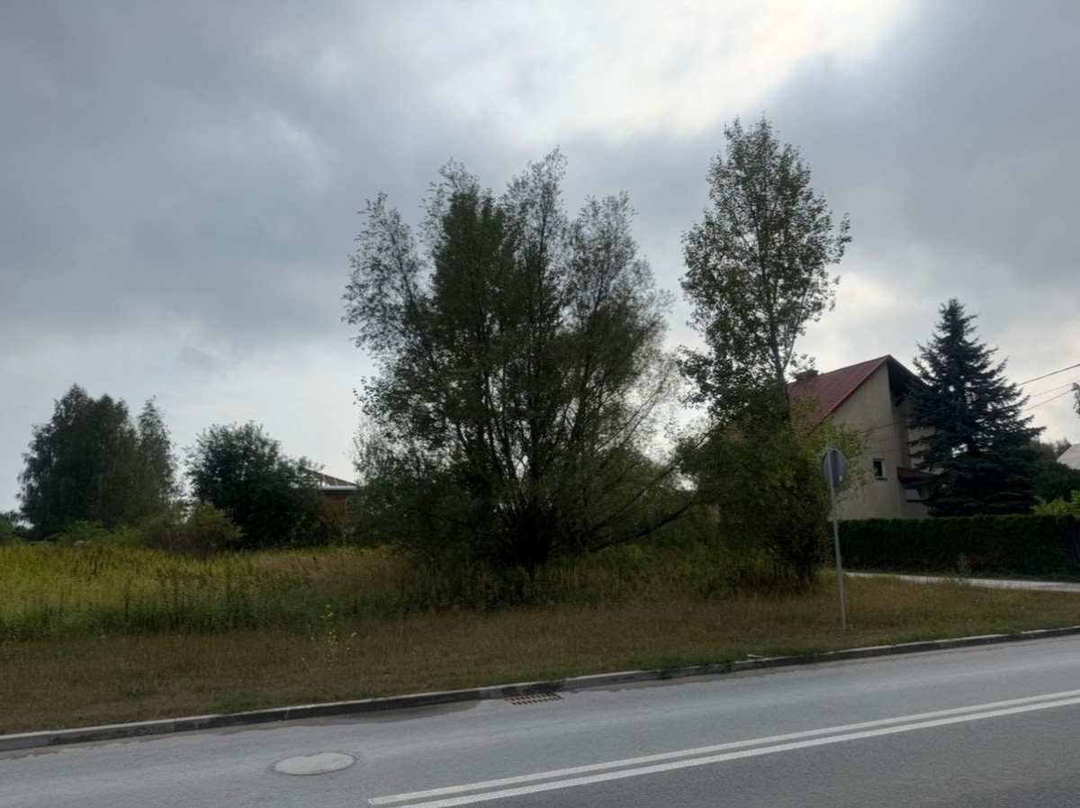 Duża działka w Łoziskach – wszystkie media
