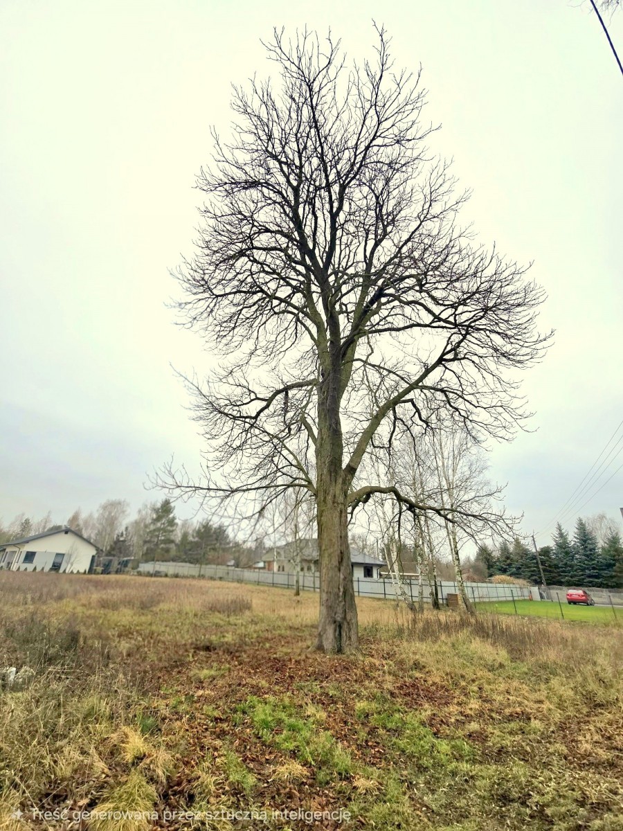 Otulina Kampinosu dobra komunikacja, infrastukturą