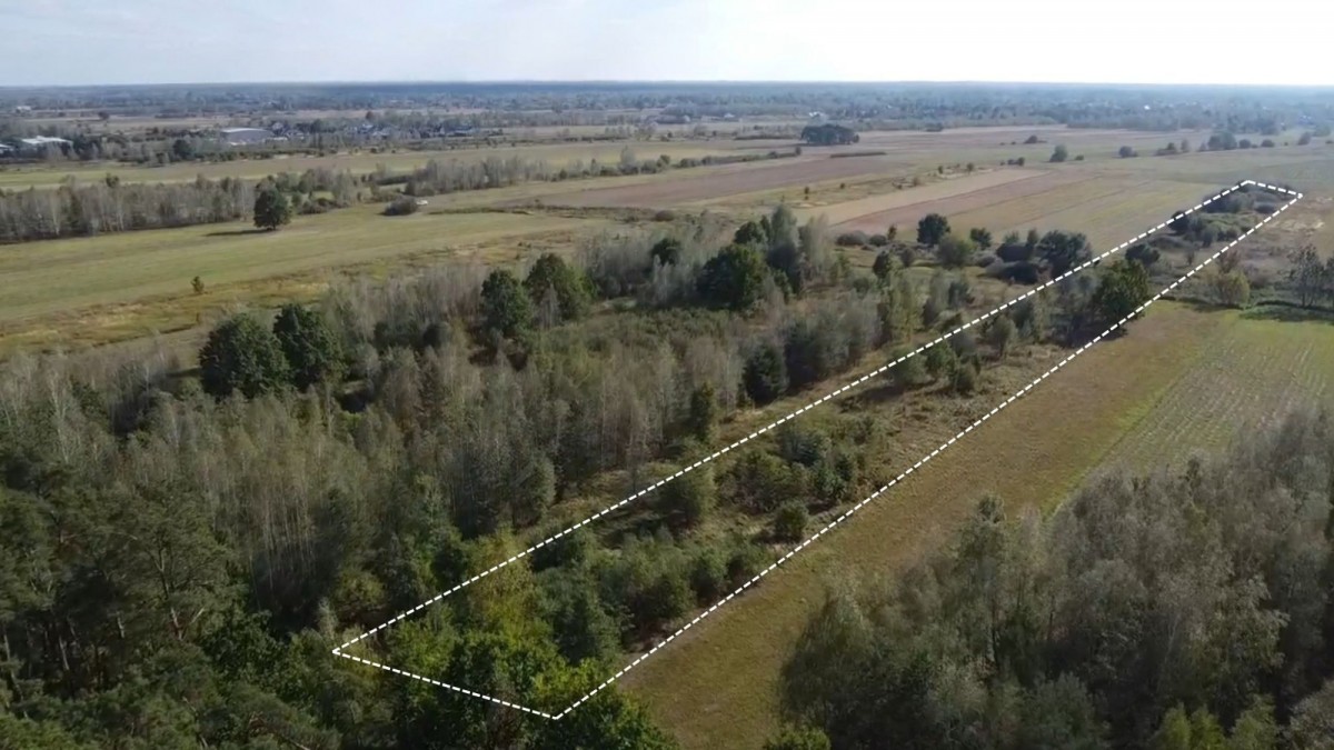 duża działka budowlana + działka rolna | Czosnów