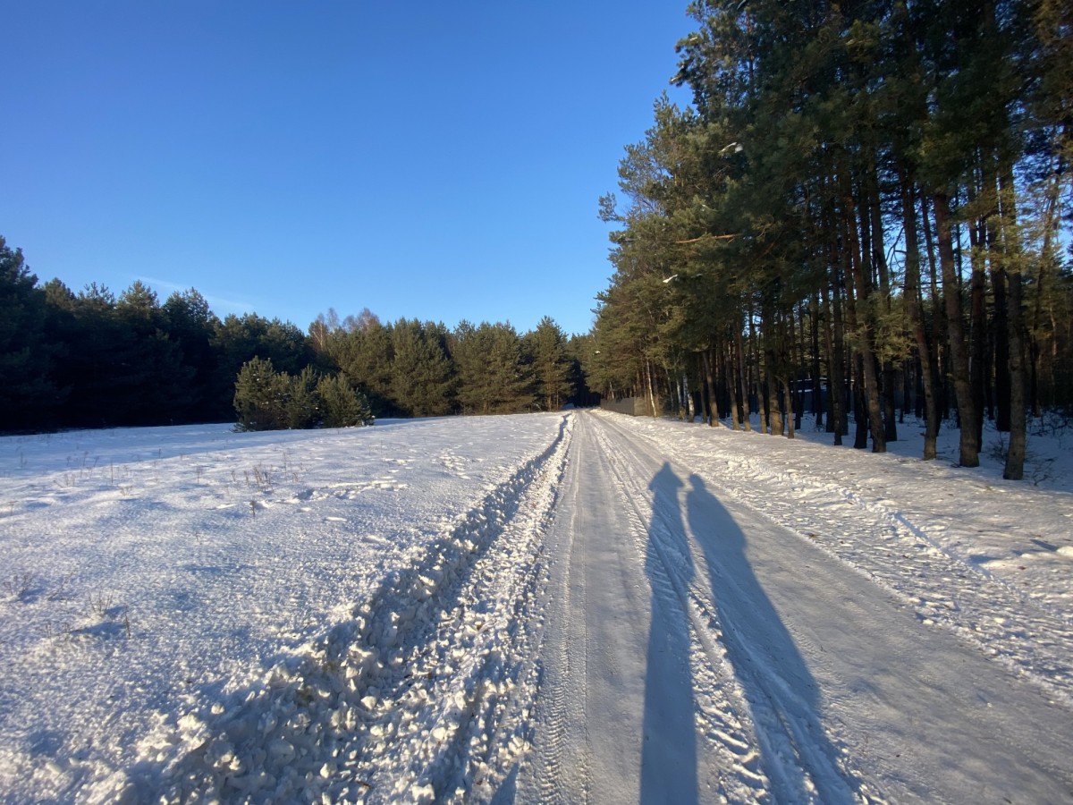 Piękna działka leśna pod budowę domu