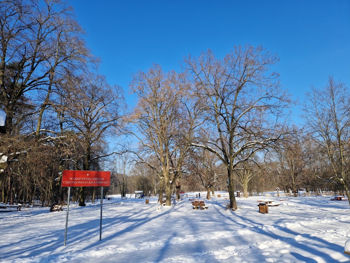 DZIAŁKA BUDOWLANA BLISKO PARKU MŁOCIŃSKIEGO
